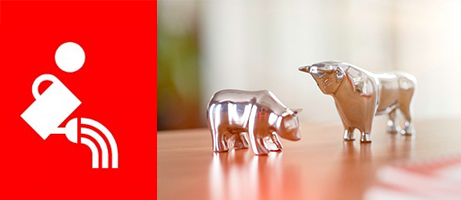 Deka Wertpapiere, Aktien, Sparkasse, Einfach erklärt, Dividende