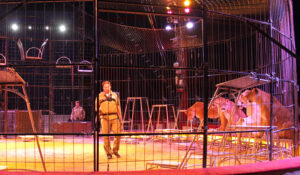 starpac premium event sparkassenblog sparkasse straubing circus krone