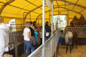 starpac premium event sparkassenblog sparkasse straubing circus krone